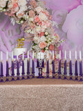 Plum 15 candle ceremony for quinceanera