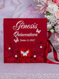 Wine red with silver Quinceanera package of pillows set, Bible and album de fotos