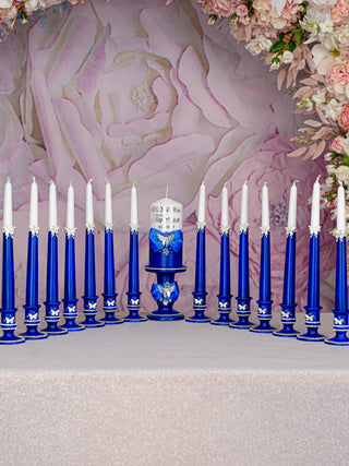 Royal blue with butterfly Quinceanera 15 candle ceremony