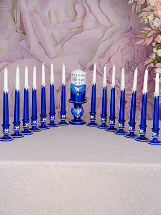 Royal blue with butterfly Quinceanera 15 candle ceremony