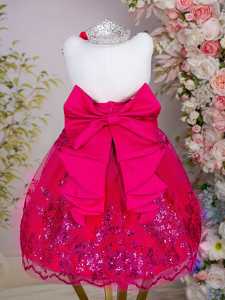 Fuchsia silver teddy bear for quinceanera