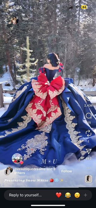 Custom order for Monica Soto -snowwhite theme