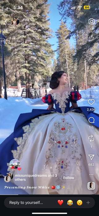 Custom order for Monica Soto -snowwhite theme